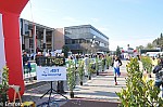 1-651.jpg