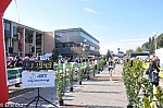 1-674.jpg