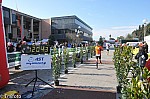 1-683.jpg