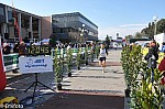 1-684.jpg