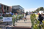 1-705.jpg