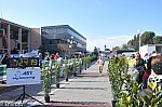 1-715.jpg