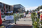 1-795.jpg