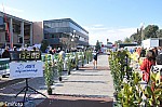 1-826.jpg