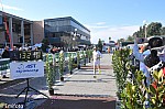 1-830.jpg