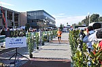1-831.jpg