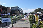 1-853.jpg