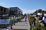 1-856.jpg