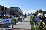 1-874.jpg