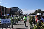 1-877.jpg