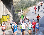 DSC_7397.jpg