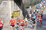 DSC_7406.jpg
