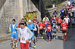 DSC_7422.jpg