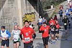 DSC_7447.jpg