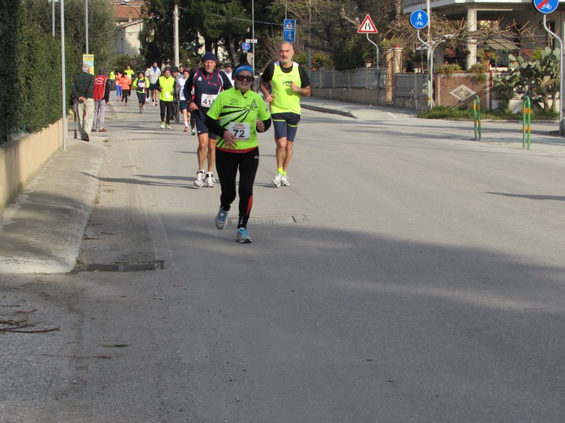 270.jpg