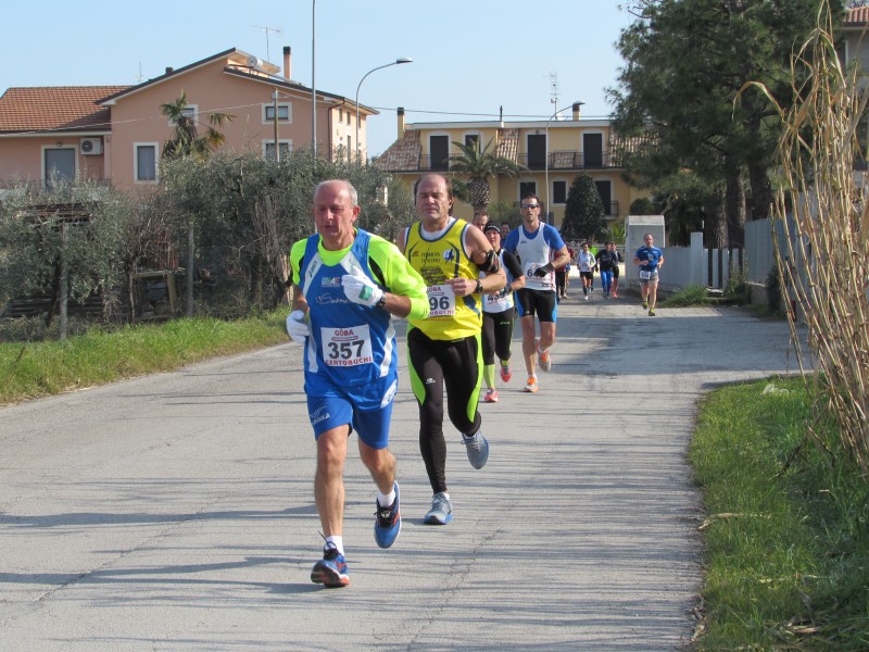 548.jpg