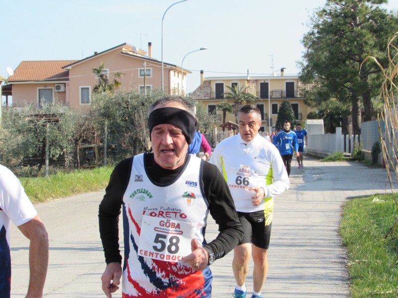 684.jpg