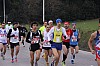 IMG_9012.jpg