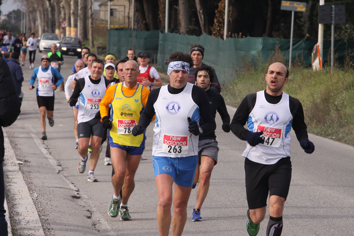 IMG_9500.jpg