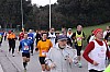 IMG_9208.jpg