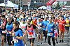 DSC_0726.jpg
