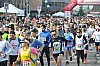 DSC_0732.jpg
