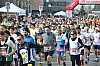 DSC_0733.jpg
