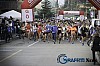 IMG_1984.jpg