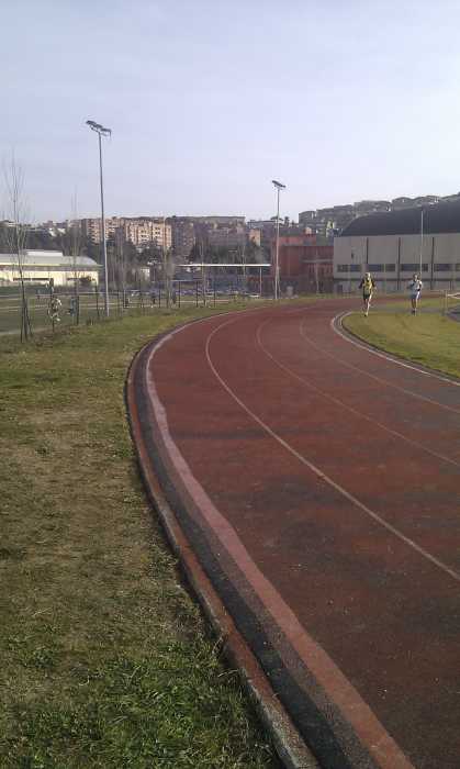 IMAG0006.jpg